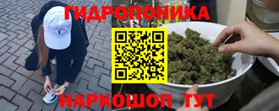 гидра Новозыбков