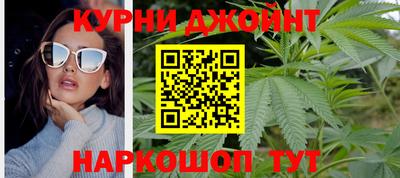 гидра Новокубанск